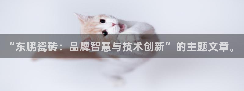 万事达娱乐 直 招