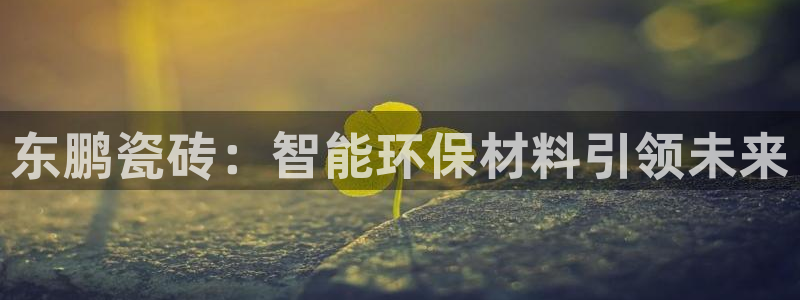 万事达娱乐b 判官