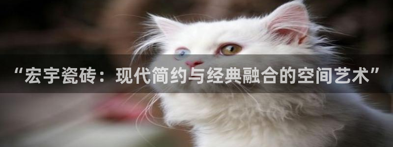 万事如意星河娱乐