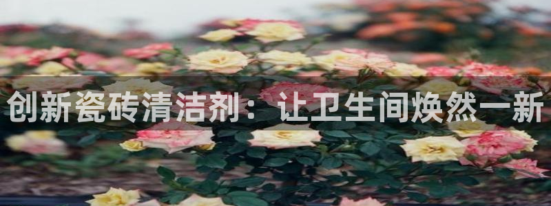 万事达娱乐指尖下
