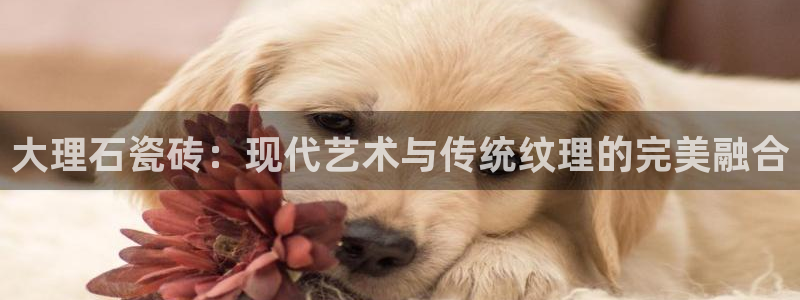 万事娱乐计划