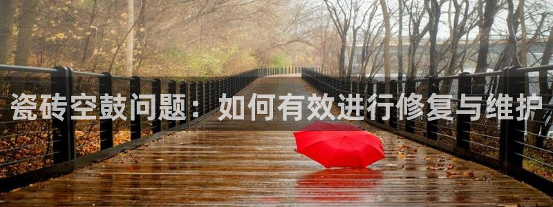 万事娱乐344272