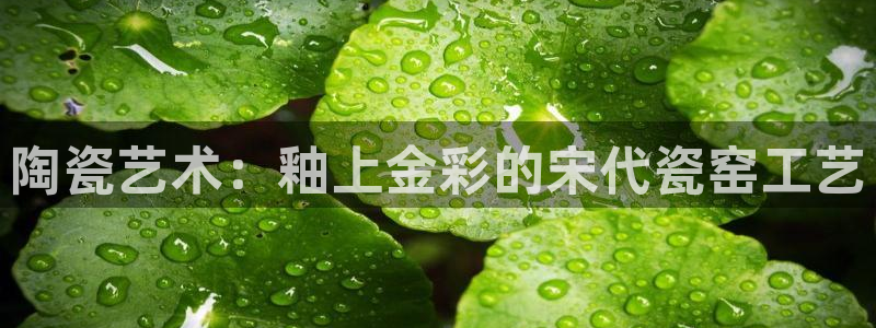 娱乐万事成