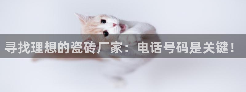 万事达娱乐管95692事s