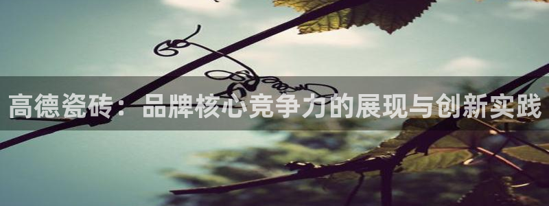 万事娱乐手机客户端下载