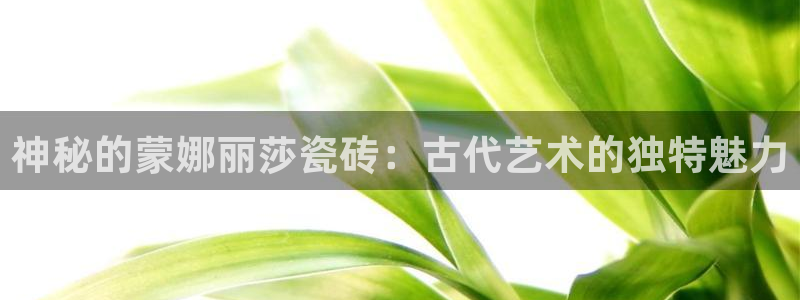 万事娱乐彩票官网