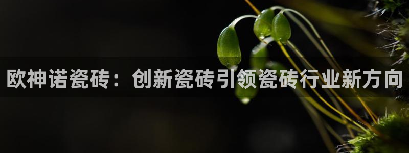 万事成物流娱乐宣传