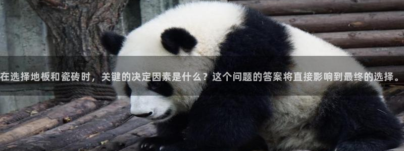 万事ok娱乐交友