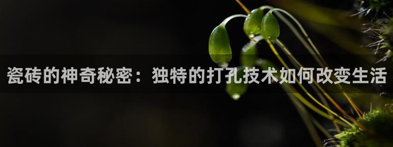 万事娱乐首页入口