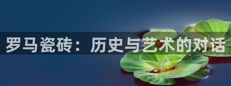 万事达娱乐连55312